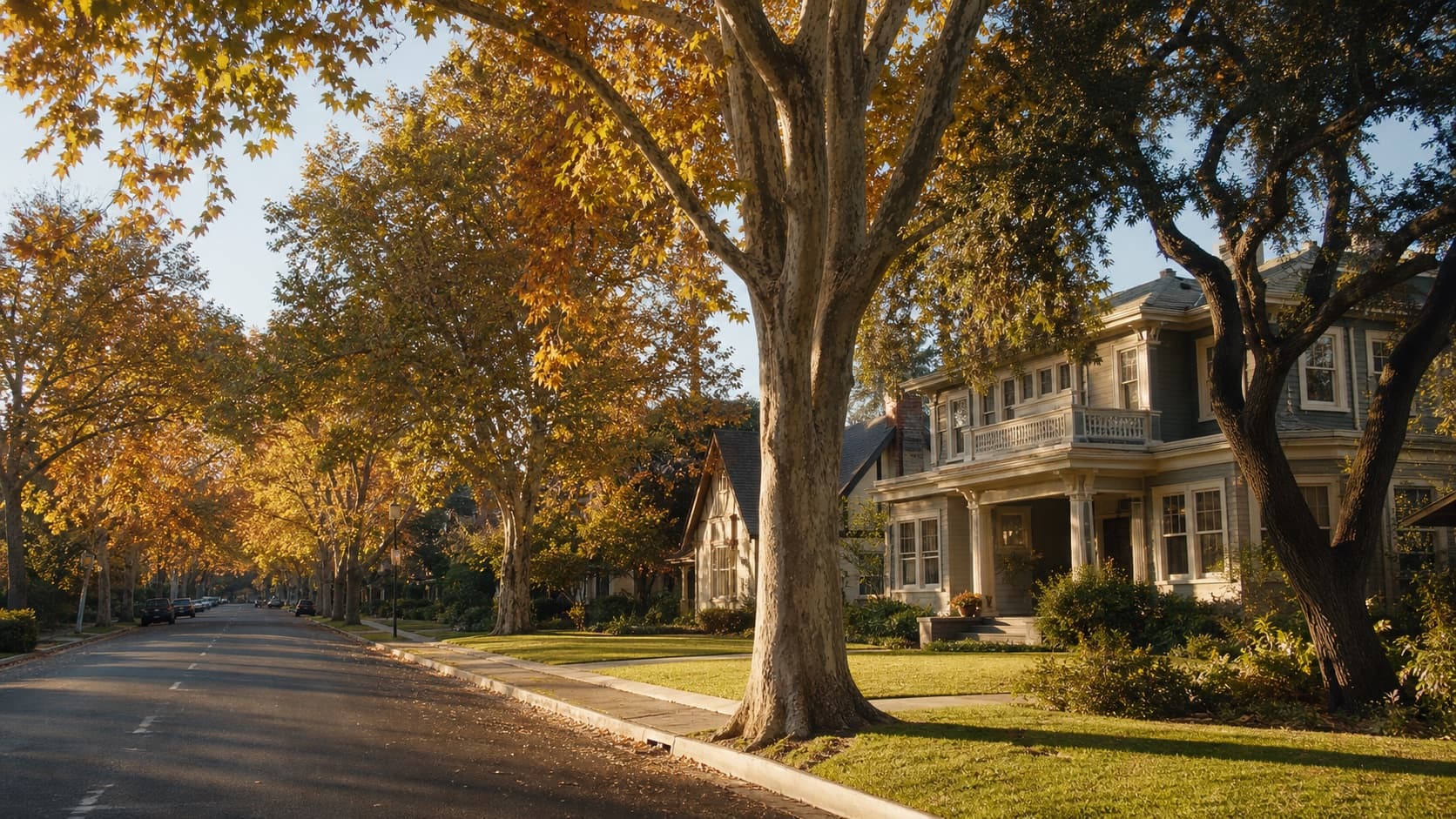 Realistic tree-lined Sacramento neighborhood street in autumn
